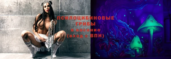 соль ск Козельск