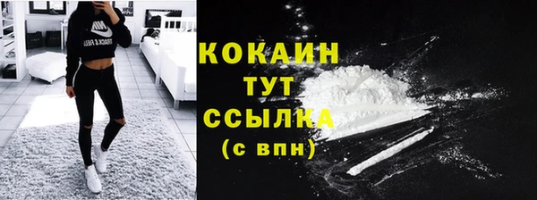 соль ск Козельск