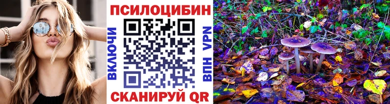 Псилоцибиновые грибы мухоморы  Купить  Тутаев 